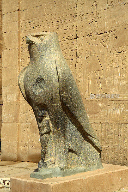 埃及Tempel van Edfu的猎鹰雕像